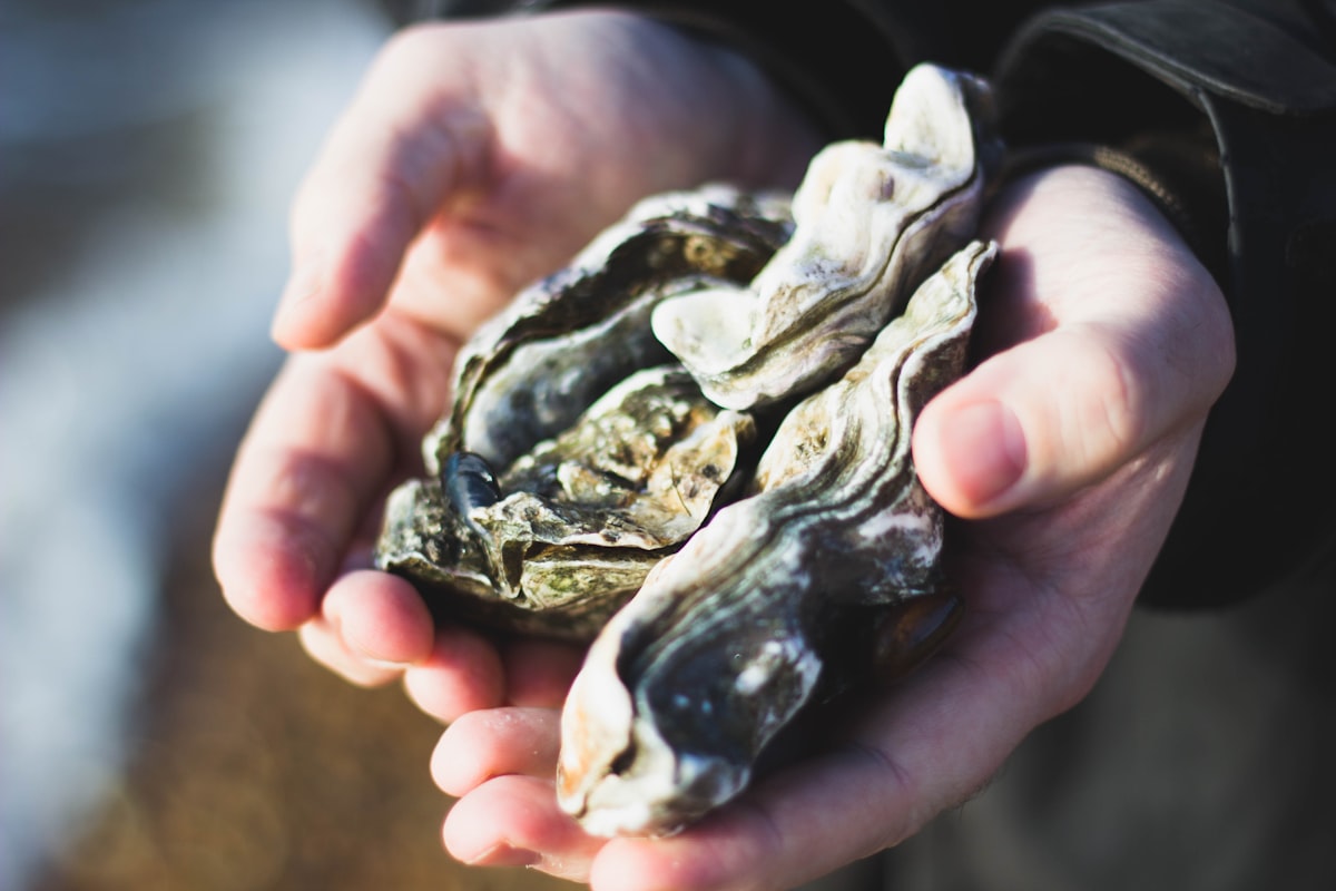 Zinc-rich foods for sexual health